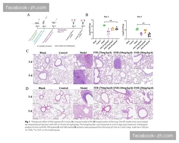 Facebook直播回放的跨时区保存机制解析 Facebook直播回放的跨时区保存机制解析